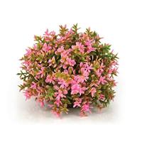 biOrb Aquatische bloemenbal met verzwaarde bal (1 x roze aquariumplant), mooie kunstmatige aquariumplant om kleur toe te voegen, natuurlijk ogende aquariumdecoratie voor schilderachtige achtergrond