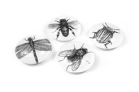 Trendform Magnet Eye - Bug - set van 4 verschillende