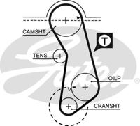 Getande riem PowerGrip® GATES, u.a. für Audi, VW, Seat, Porsche