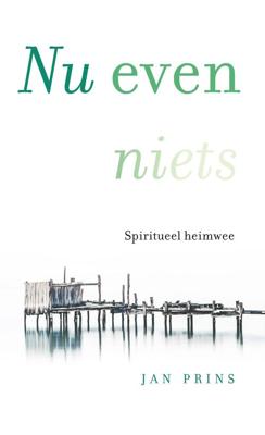 Nu even niets - Jan Prins - eBook (9789020213553)