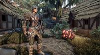 THQ Nordic Elex Standaard Duits, Engels, Spaans, Frans, Italiaans, Pools, Russisch PlayStation 4 - thumbnail