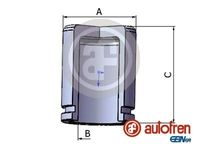 Zuiger, remklauw D025550 - thumbnail