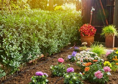 GARDENA 13010-20 Micro-Drip system Startset plantenrij S 4,6 mm (3/16) Slanglengte: 15 m