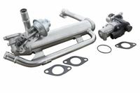 EGR-klep EXPERT KITS + VEMO, Spanning (Volt)12V, u.a. für VW, Skoda, Seat, Audi