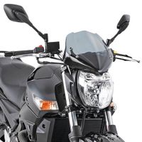 GIVI Windscherm, moto en scooter, 247A excl. montagekit