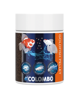 Colombo Goldfish Korrel - Compleet Dagvoer 100ml/70gr, Voedingrijk voor Goudvis Vitaliteit