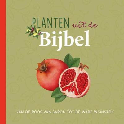 Planten uit de Bijbel - Judith Dinsmore - Hardcover (9789043534604) Planten uit de Bijbel - Judith Dinsmore - Hardcover (9789043534604)
