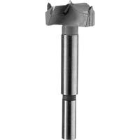 Bosch Accessories 2609255279 Forstnerboor 20 mm Gezamenlijke lengte 90 mm Cilinderschacht 1 stuk(s) - thumbnail