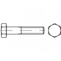 TOOLCRAFT TO-5363466 Zeskantbout M6 55 mm Buitenzeskant RVS A2 100 stuk(s)