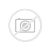 GOMME PNEUMATICI DUNLOP 185/60 R15 88T WINTER TRAIL