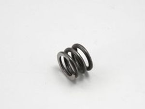 Clutch spring (FM-352)