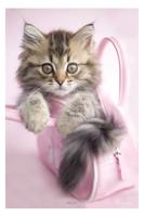 Kat Minnie Poster 61x91.5cm