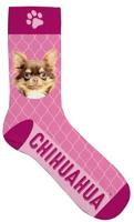 Plenty Gifts sokken chihuahua polyester roze maat 31 36