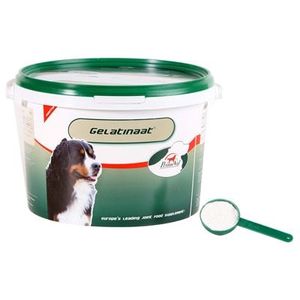 Primeval Gelatinaat hond