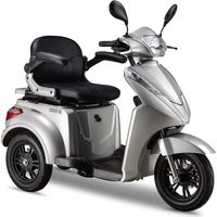 IVA E1000 Zilver - Elektrische Scooter