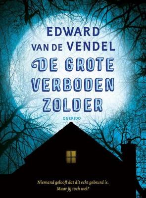 De grote verboden zolder - Edward van de Vendel - Paperback (9789045124599)