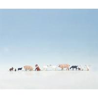 NOCH Farm Animals schaalmodel onderdeel en -accessoire Figuurtjes - thumbnail