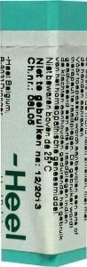 Magnesium muriaticum LM3