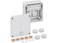 Spelsberg 49080601 Verbindingsdoos (l x b x h) 110 x 110 x 67 mm Grijs IP65