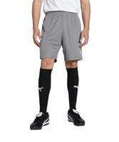 PUMA teamGOAL Korte broek