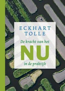 De kracht van het nu in de praktijk - Eckhart Tolle - ebook