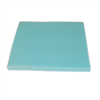 Philips Foamfilter FC8058