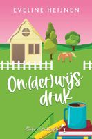 Onderwijs Druk - Eveline Heijnen - ebook