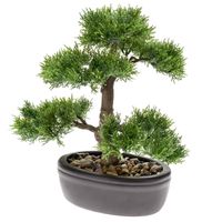 Bonsai boompje Cedrus Atlantica Glauca kunstplant in ovale kunststof pot 32 cm - thumbnail