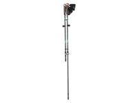 CRIVIT Nordic Walking-stokken (Donkergrijs/mint)