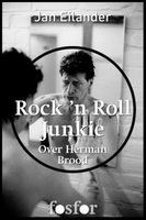 Rock n Roll Junkie - Jan Eilander, Martin Bril - ebook - thumbnail