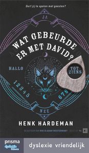 Wat gebeurde er met David? - Henk Hardeman - ebook