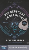 Wat gebeurde er met David? - Henk Hardeman - ebook - thumbnail