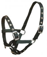 S2G halster Standard Shetty verstelbaar nylon donkergroen