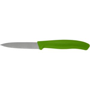 Victorinox SwissClassic 6.7636 Roestvrijstaal Schilmes