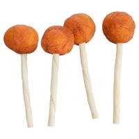 9 cm 60 st Trixie premio lolly met kabeljauw