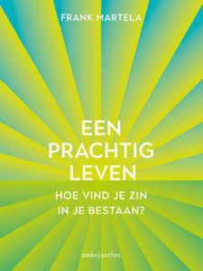 Een prachtig leven - Frank Martela - ebook