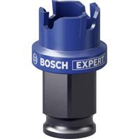 Bosch Accessories EXPERT Sheet Metal 2608900493 Gatenzaag 1 stuks 22 mm 1 stuk(s)