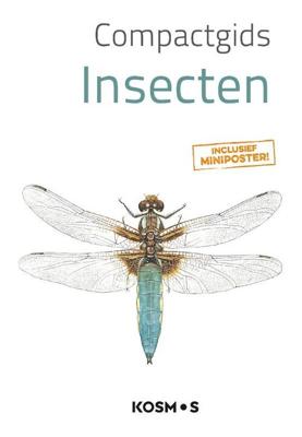 Compactgids Insecten - Paperback (9789021578934)