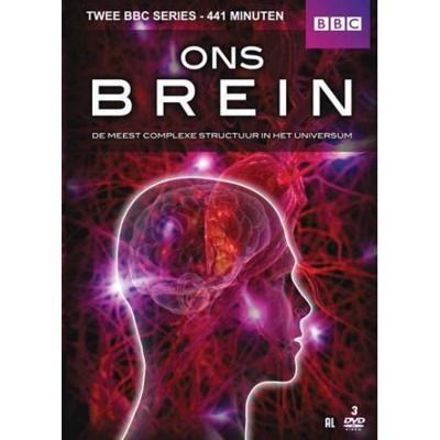 Ons brein (DVD) Ons brein (DVD)