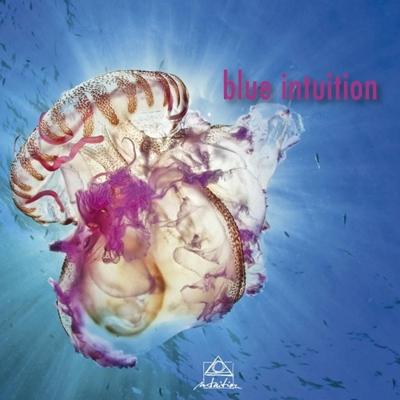 Blue Intuition - CD (0750447344723)
