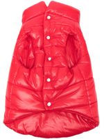 Moncler x Poldo x Poldo Dog Couture gilet matelassé - Rouge