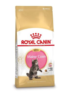Royal Canin Kitten Maine Coon kattenvoer 2 kg Royal Canin Kitten Maine Coon kattenvoer 2 kg