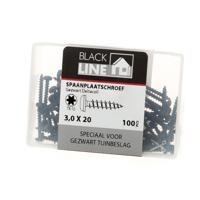 Spaanpl.schr.zwart ck tx10 3.0X20(100)