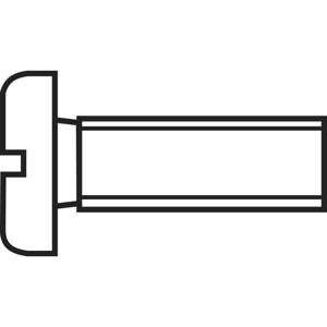 TOOLCRAFT 828782 Cilinderschroeven M1.2 10 mm Sleuf DIN 84 Staal 20 stuk(s)