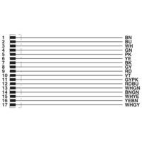 Phoenix Contact 1430705 Sensor/actuator connector, geassembleerd Aantal polen (sensoren): 17 3.00 m 1 stuk(s) - thumbnail