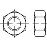 TOOLCRAFT TO-5416719 Zeskantmoeren M2,5 Staal Galvanisch verzinkt 1000 stuk(s)