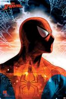 Spider-Man Protector Of The City Poster 61x91.5cm