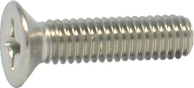 Metaalschroef rvs pkkk m 4x 6.