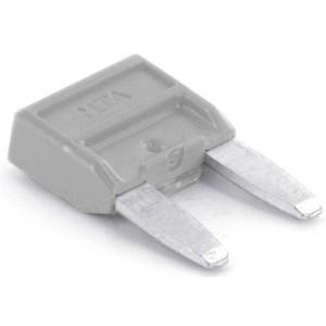 TRU COMPONENTS 8551176 Ministeekzekering (auto) 2 A Grijs 1 stuk(s)