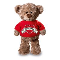 Beterschap pluche teddybeer knuffel 24 cm met rood t-shirt - thumbnail